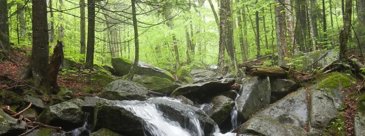Hubbard Brook Experimental Forest